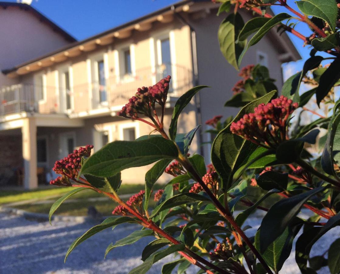 Happy hill -appartamento Quercia Santa Maria Rocca Esterno foto